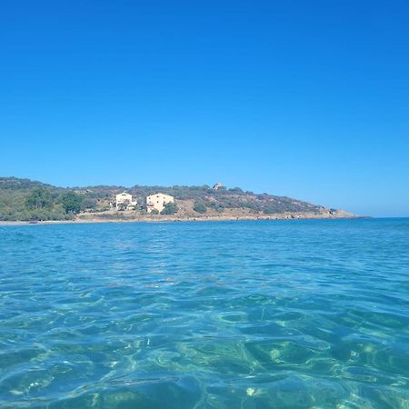 Charmant Petit Logement A 3 Kms De La Plage Belgodere  Exterior photo